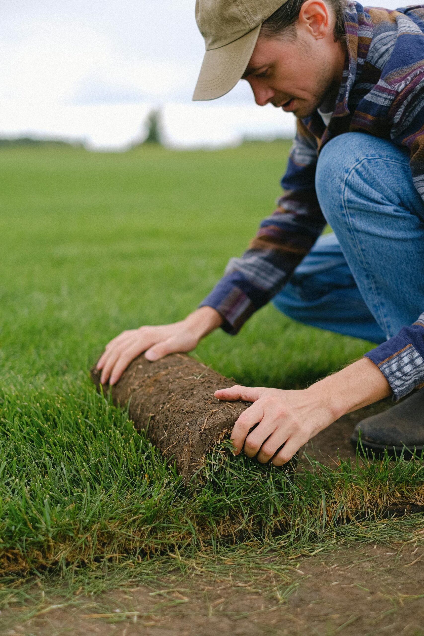 Turf